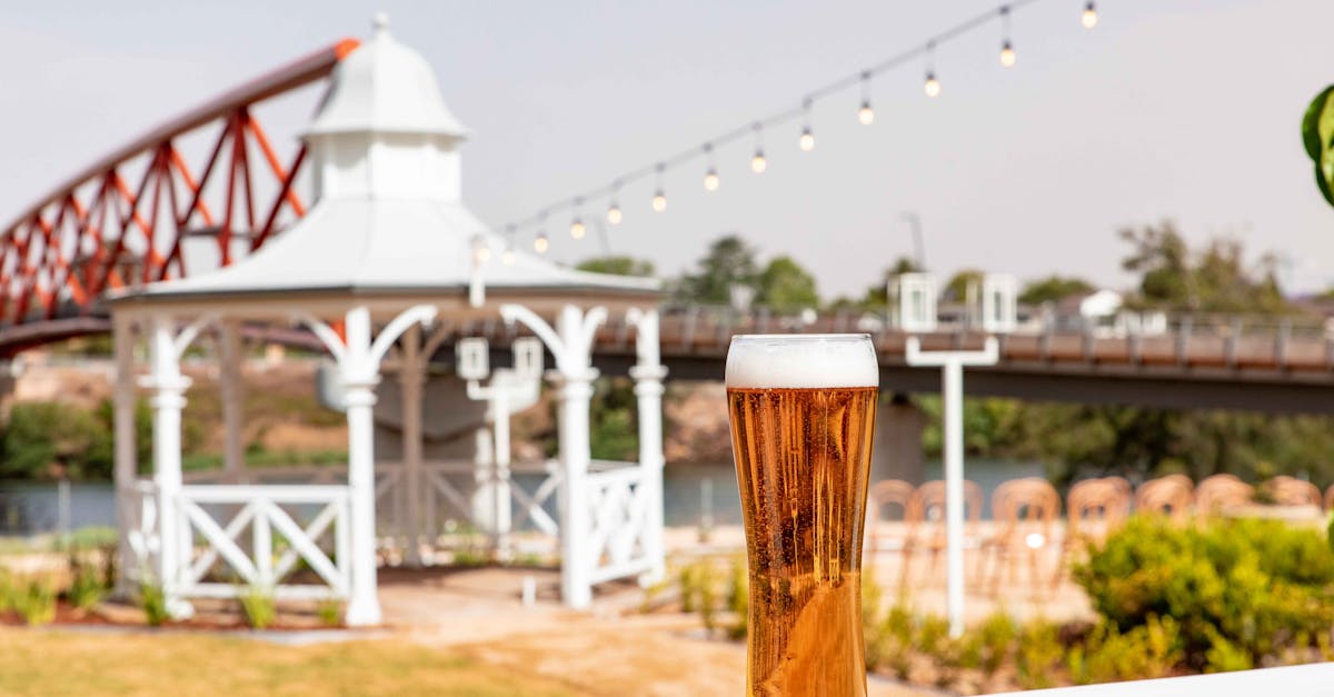 découvrez beer tree, votre destination idéale pour savourer une sélection unique de bières artisanales. plongez dans un monde de saveurs authentiques et d'expériences conviviales à partager entre amis.
