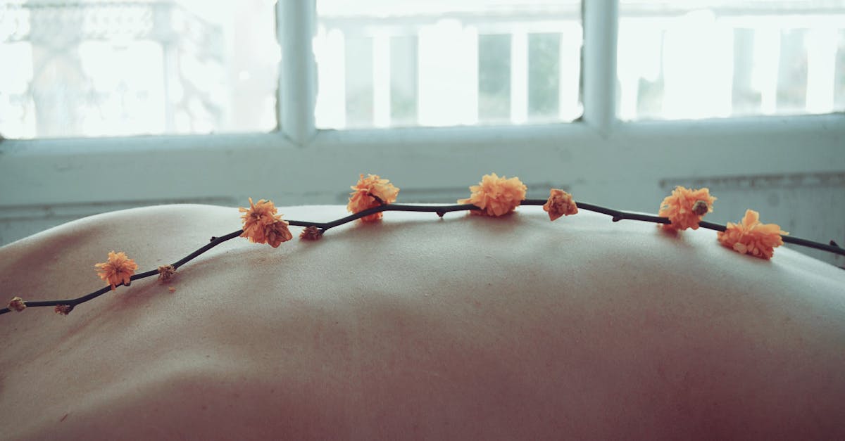 découvrez le bien-être à travers une approche holistique qui intègre santé physique, mentale et émotionnelle. explorez des conseils, techniques et pratiques pour améliorer votre qualité de vie et atteindre un équilibre harmonieux.