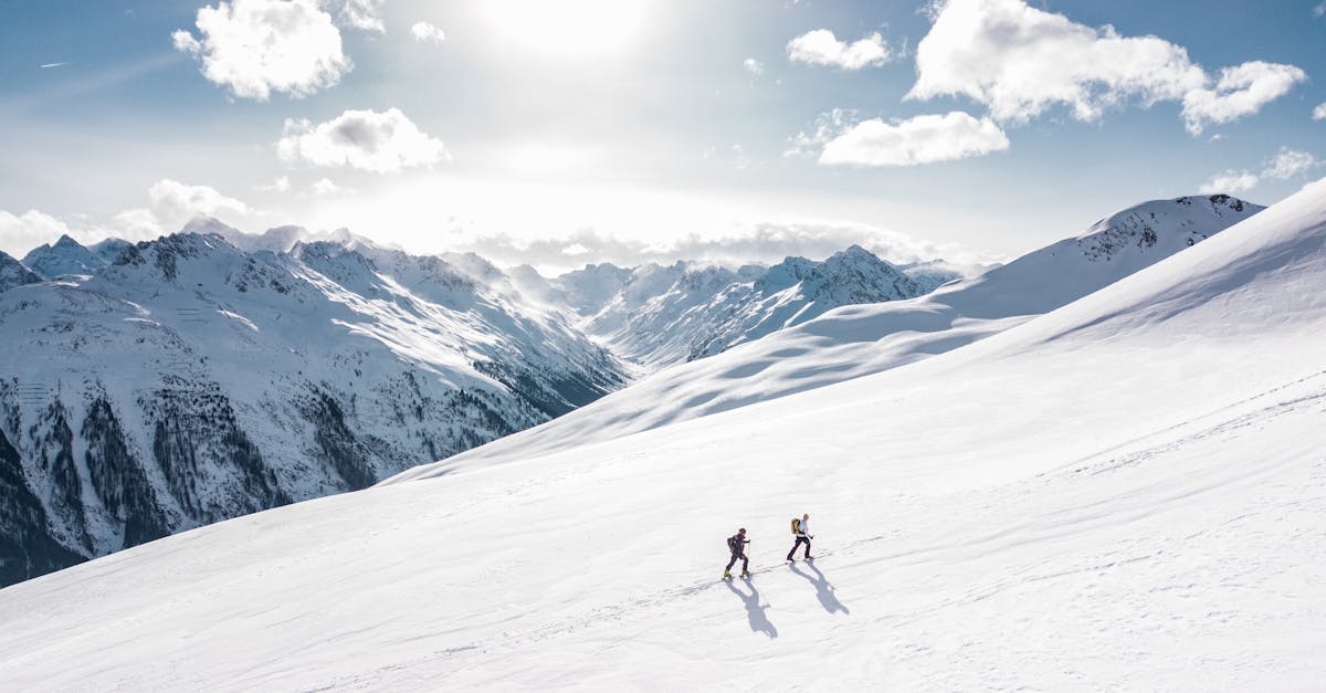 découvrez les merveilles de l'hiver, une saison magique où la nature se transforme en un paysage féérique de neige. profitez des activités de plein air, des sports d'hiver et des moments chaleureux au coin du feu. plongez dans l'ambiance hivernale avec des conseils pour des vacances inoubliables.