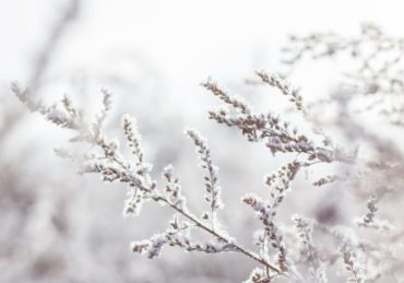 découvrez l'univers enchanteur de l'hiver : des paysages enneigés aux activités de saison, explorez tout ce que cette magnifique période de l'année a à offrir.