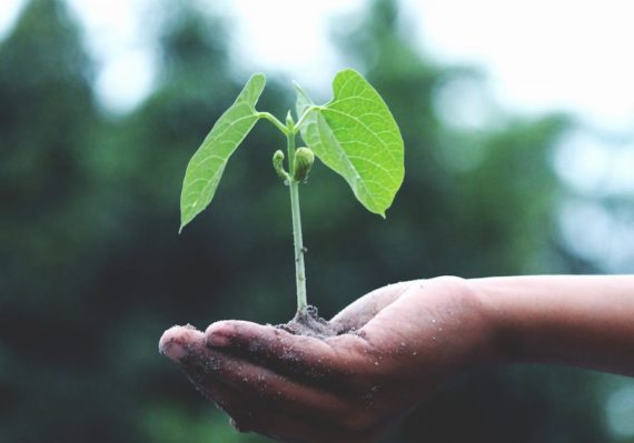 découvrez l'écologie : ses principes, ses enjeux et son importance pour préserver notre planète. informez-vous sur les actions à mener pour un mode de vie plus durable et respectueux de l'environnement.