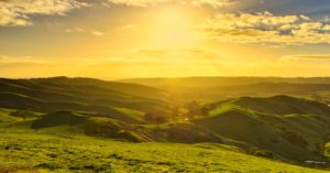 découvrez tout sur la lumière du soleil : ses bienfaits, son rôle pour la santé, l’environnement et comment en profiter au quotidien tout en se protégeant efficacement.