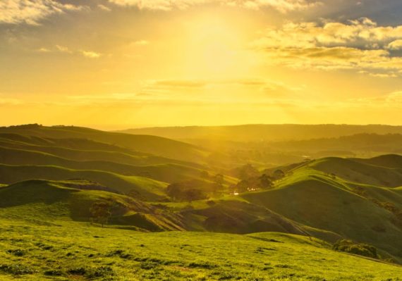 découvrez tout sur la lumière du soleil : ses bienfaits, son rôle pour la santé, l’environnement et comment en profiter au quotidien tout en se protégeant efficacement.